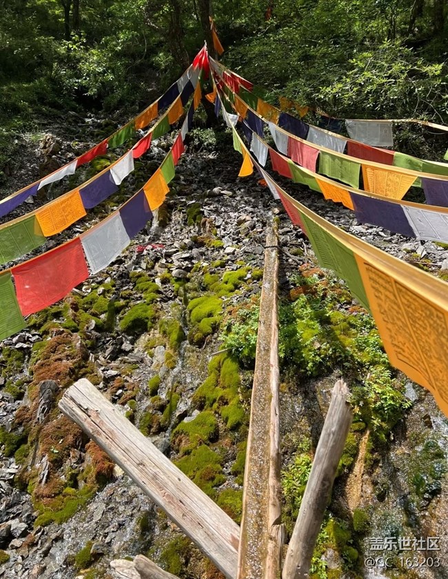 【途有春光】大自然