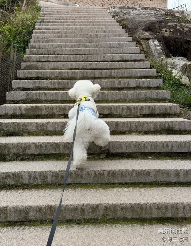 【途有春光】踏青去了