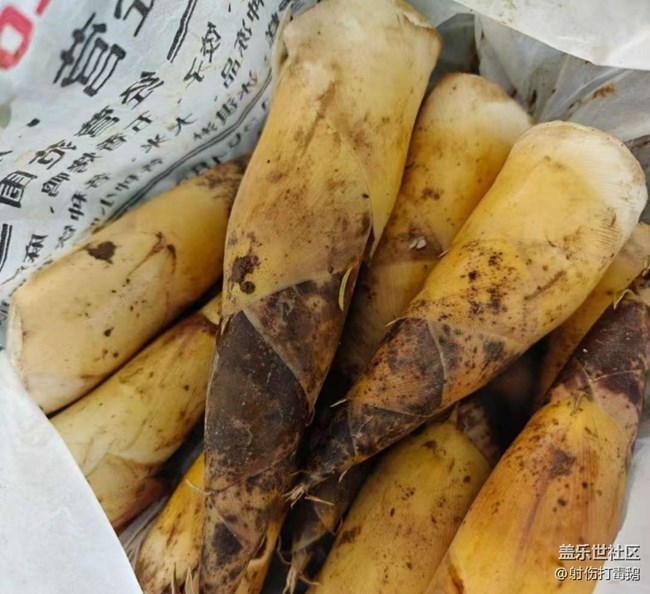 【途有春光】山里的快樂