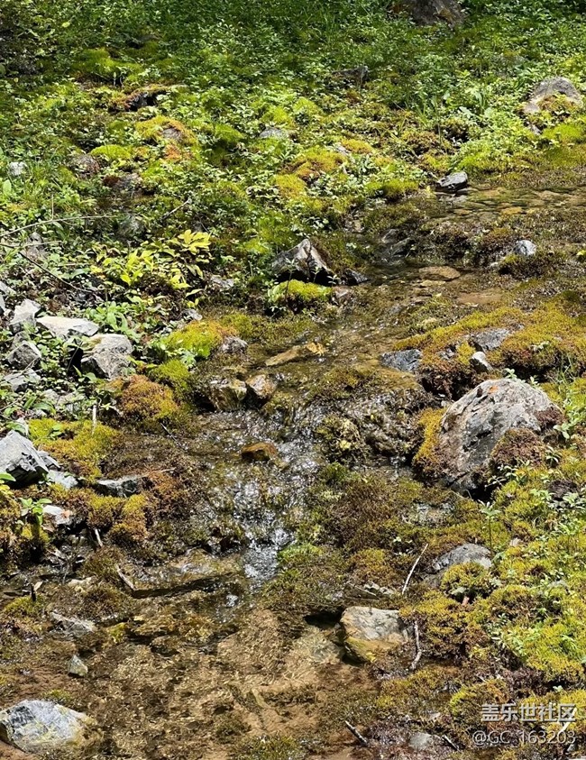 【途有春光】大自然