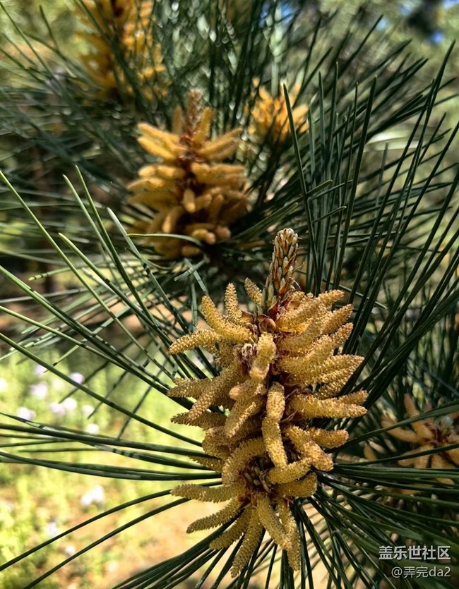 【途有春光】春滿人間