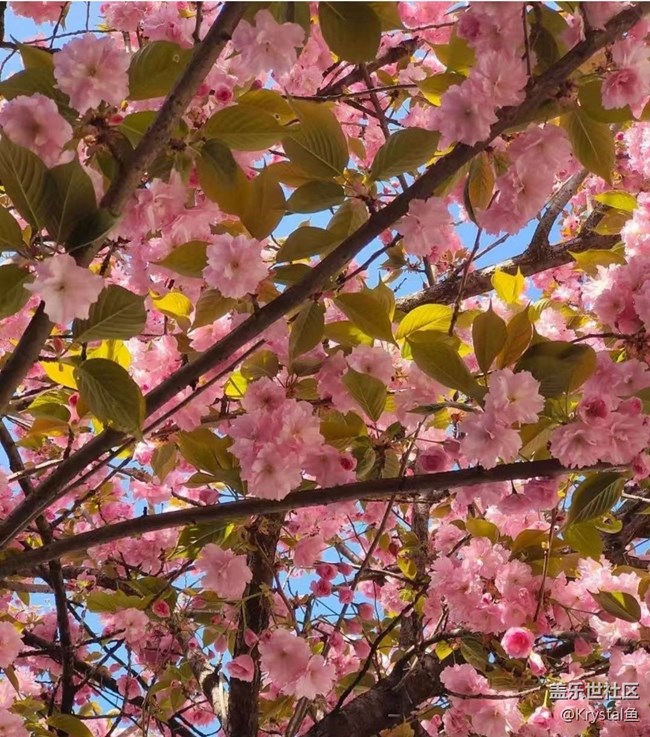 【途有春光】春有約