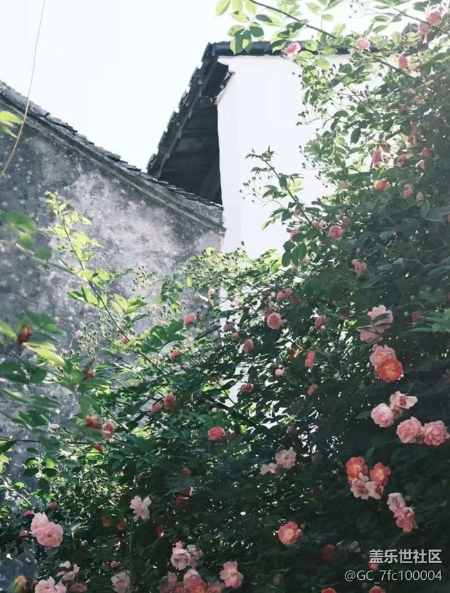 【途有春光】下江南