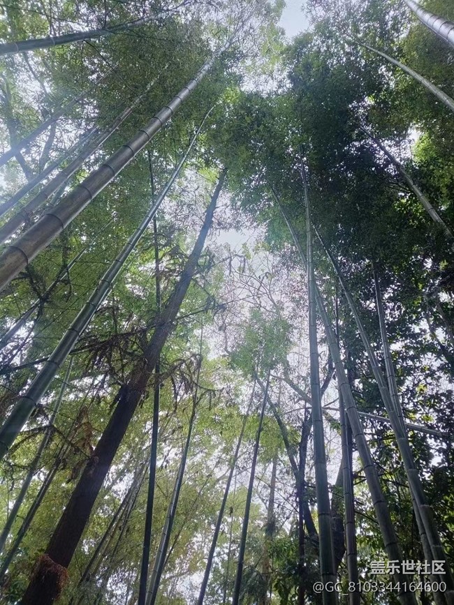 【途有春光】大自然的饋贈(zèng)