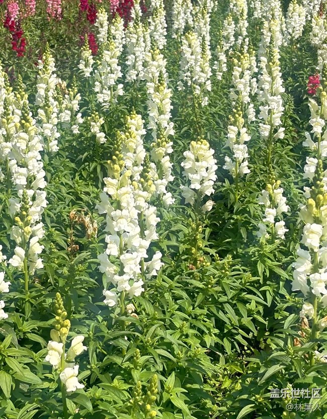 【途有春光】周末時(shí)光