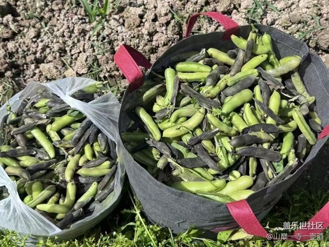 【途有春光】干農(nóng)活