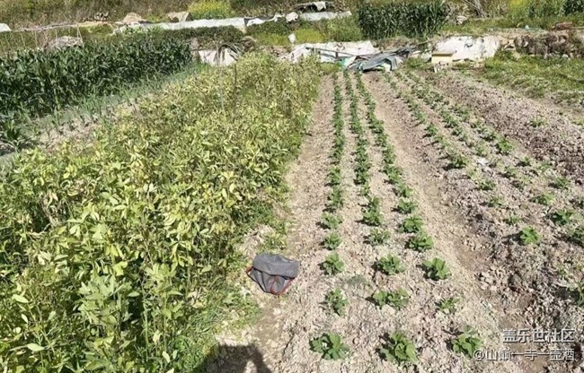 【途有春光】干農(nóng)活