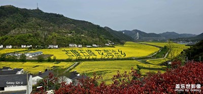 十堰鄖陽區(qū)五峰鄉(xiāng)油菜花