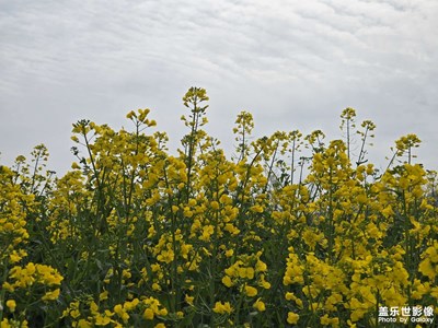 【鏡藏萬象】+秦嶺腳下