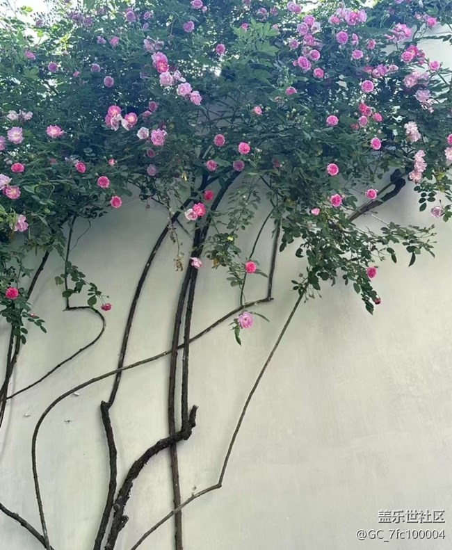 【途有春光】下江南