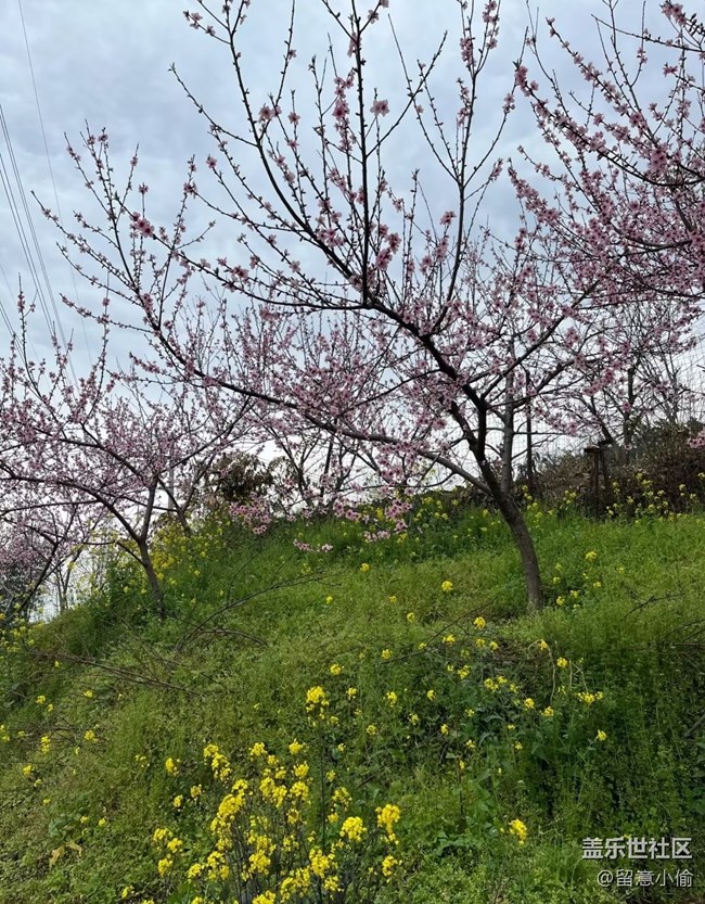 【途有春光】春景宜人