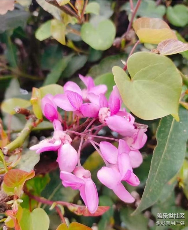 【途有春光】親近自然