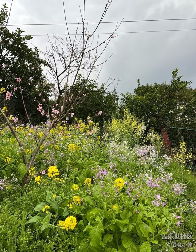 【途有春光】春景宜人