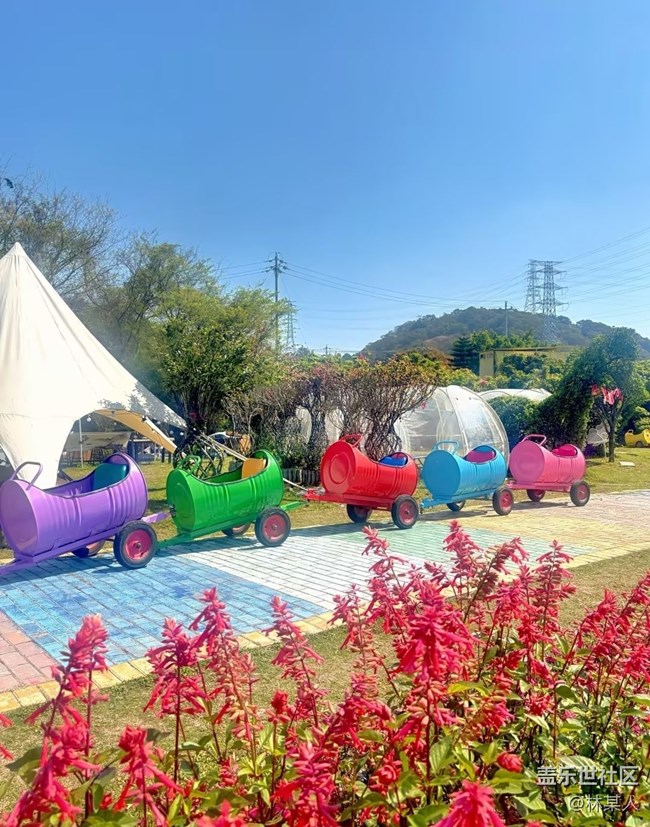 【途有春光】周末時(shí)光