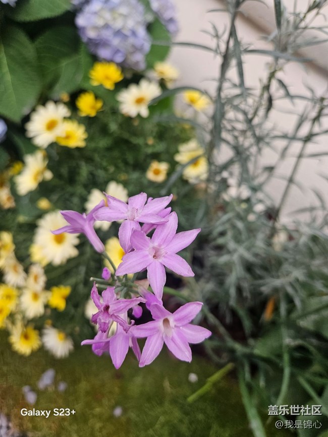 【途有春光】絕美花園