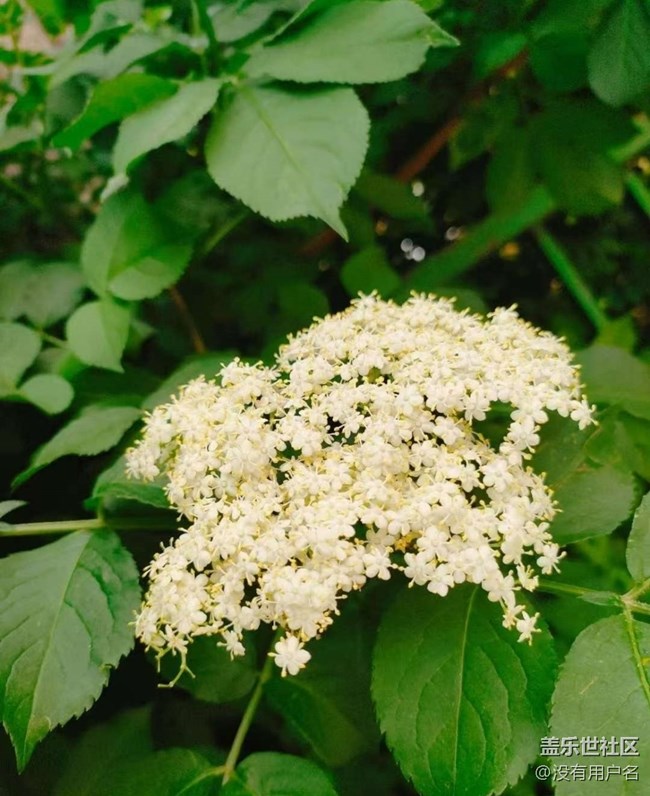 【途有春光】親近自然