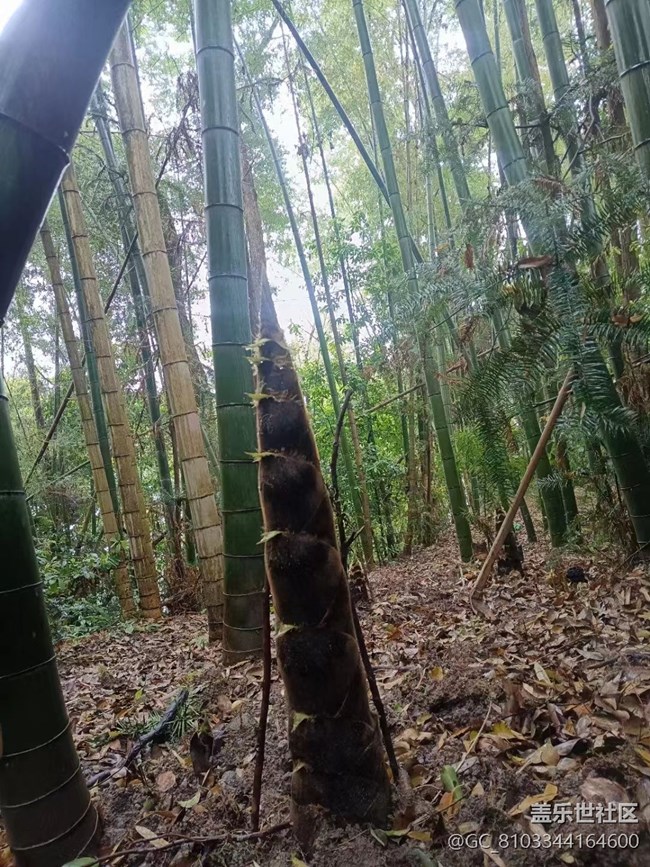 【途有春光】大自然的饋贈(zèng)