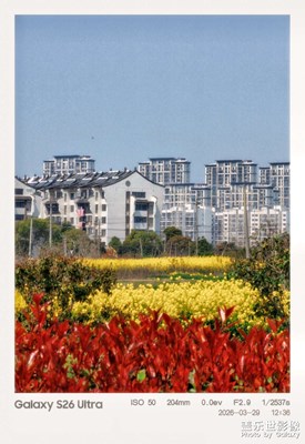 【鏡藏萬象】+周末郊游