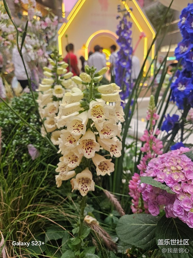 【途有春光】絕美花園