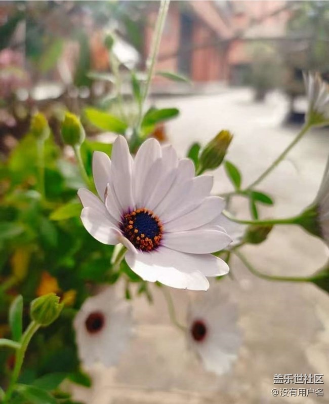 【途有春光】親近自然