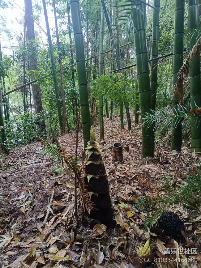 【途有春光】大自然的饋贈(zèng)