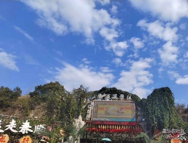 【途有春光】春天出去玩