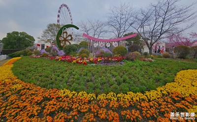 【鏡藏萬象】+顧村公園櫻花節(jié)