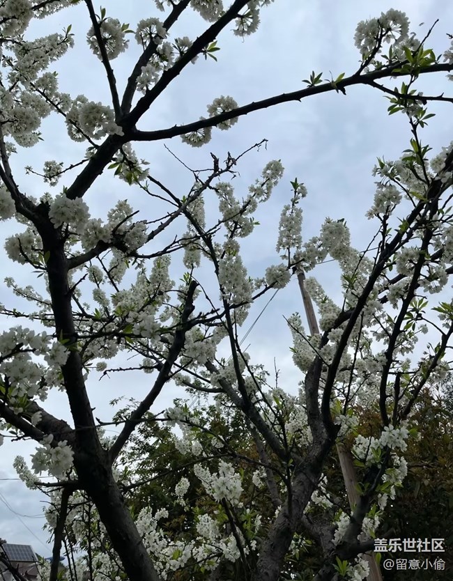 【途有春光】春景宜人