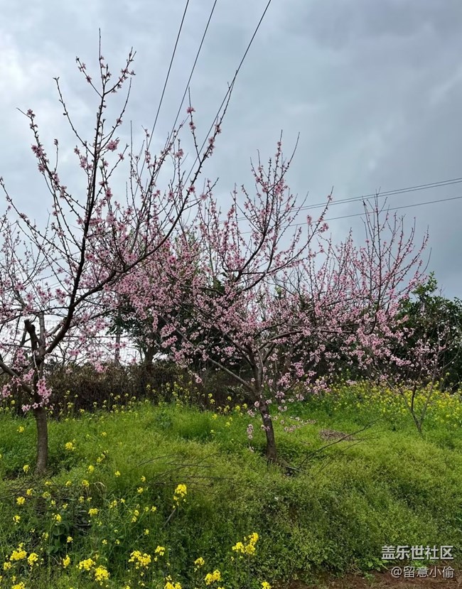 【途有春光】春景宜人