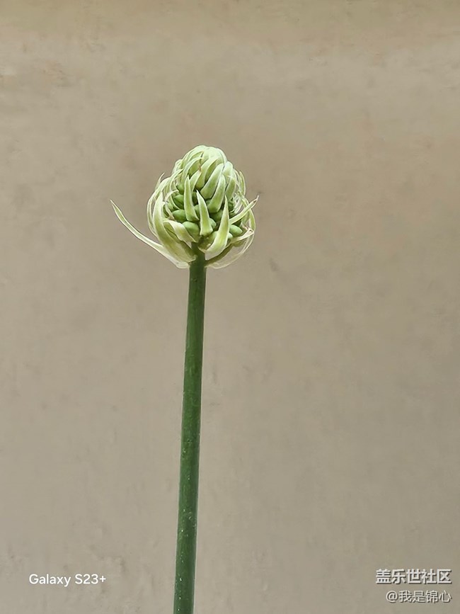 【途有春光】絕美花園
