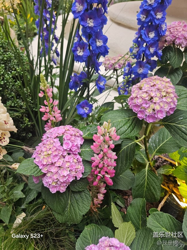 【途有春光】絕美花園