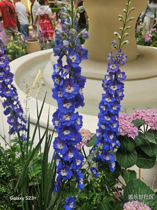 【途有春光】絕美花園