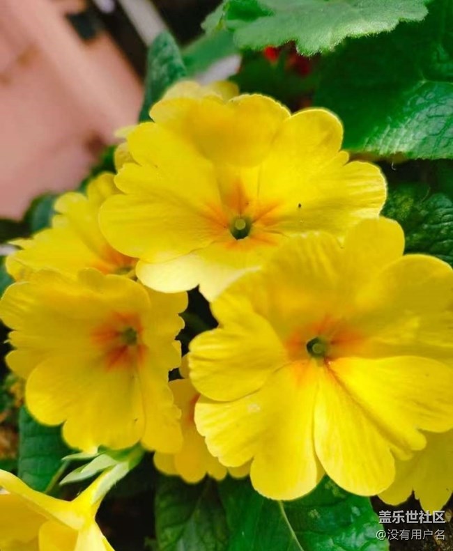 【途有春光】親近自然