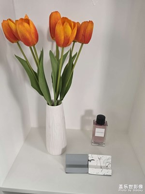 【鏡藏萬象】Galaxy S26 Ultra 鏡頭里物件