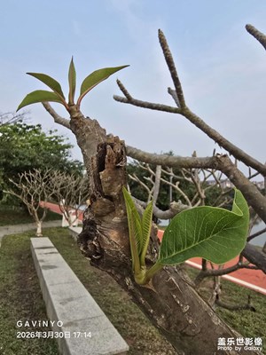 【鏡藏萬(wàn)象】春天寫給大地的溫柔密語(yǔ)