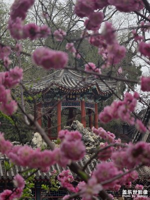 【鏡藏萬象】+楠木與龍壁