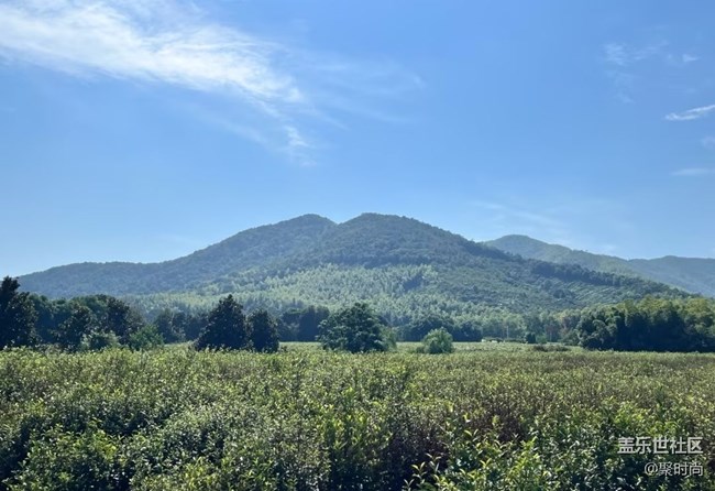 【途有春光】綠水青山