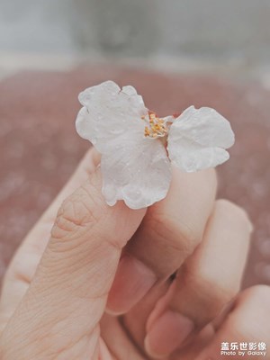 【鏡藏萬(wàn)象】+雨后