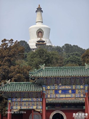 【鏡藏萬(wàn)象】+橋上觀塔