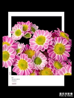 鏡藏萬(wàn)象+城市的花花