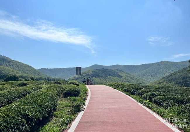 【途有春光】綠水青山