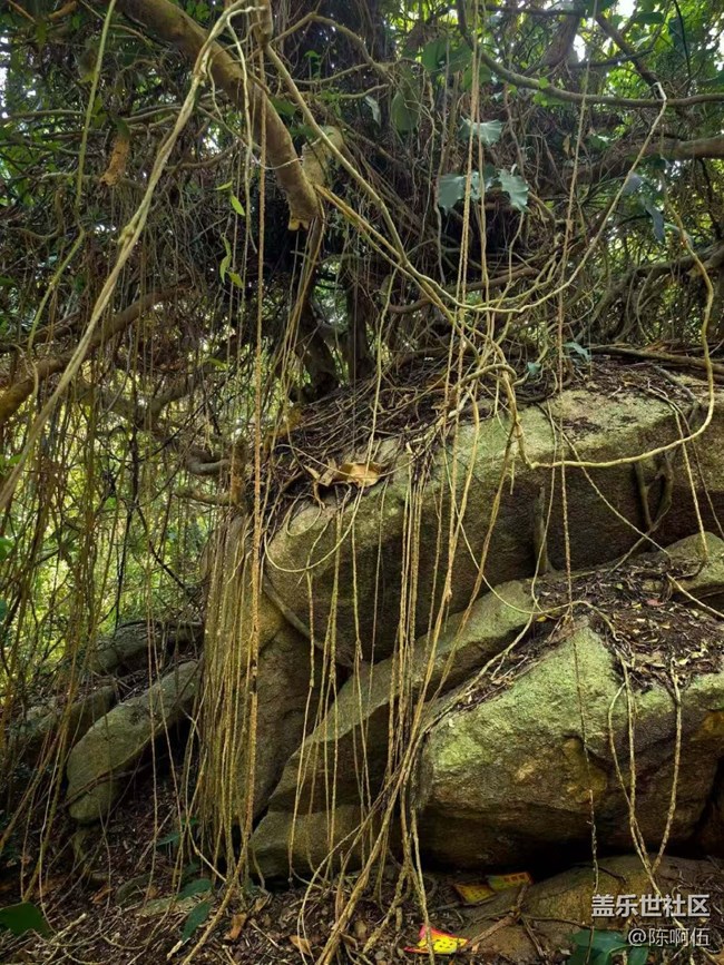 【途有春光】落日