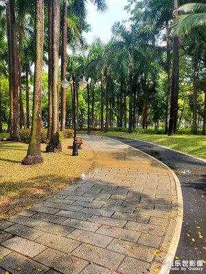 【鏡藏萬(wàn)象】雨后的公園