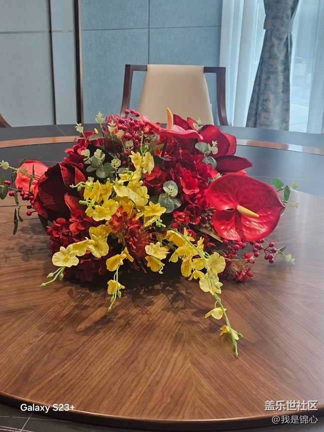 【迎春，在冬末】歡迎春來(lái)到