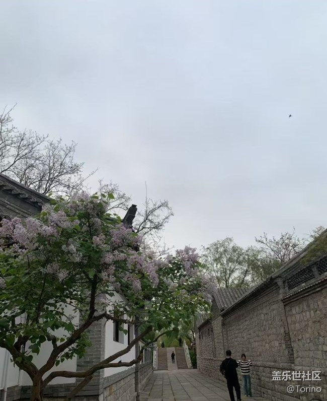 【途有春光】大明湖畔