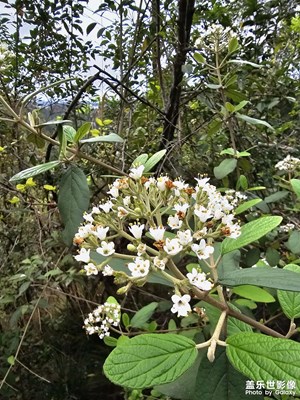 【鏡藏萬象】萬物復蘇