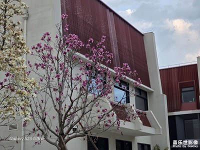 【鏡藏萬象】+綠園春色，長焦定格美好