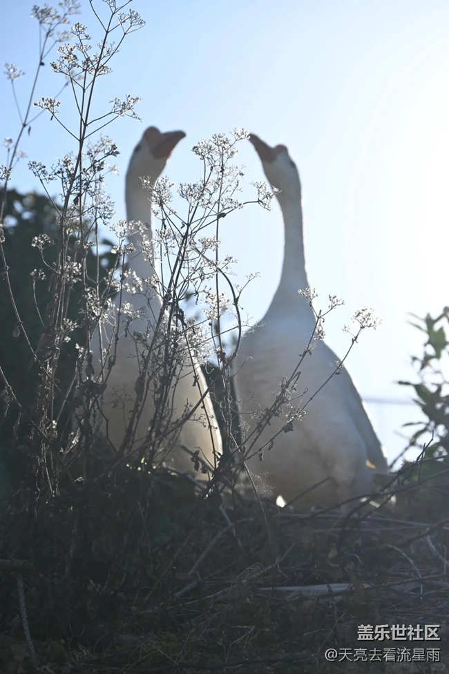 登頂東白山太白峰