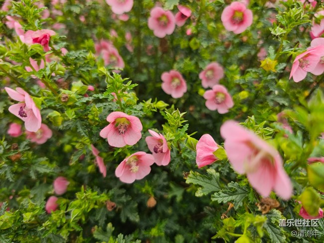 【迎春，在冬末】3月