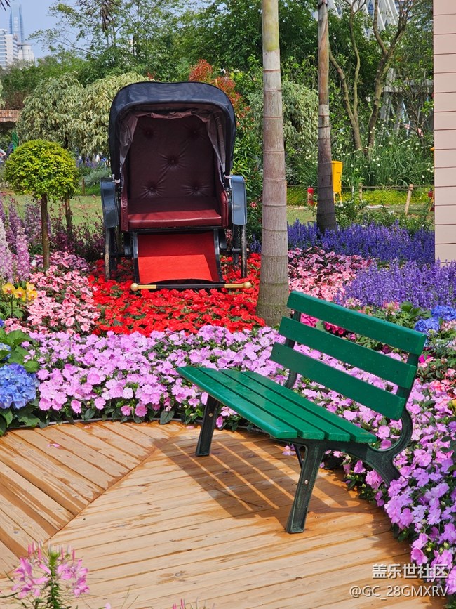 【迎春，在冬末】尋花香